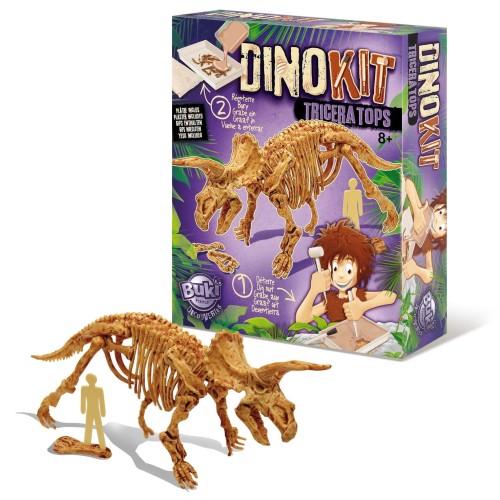 439_triceratops_boite+contenu (1).JPG