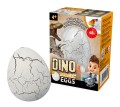 D6G_BOX eggs.jpg
