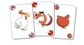 DJ05119-cartes.jpg