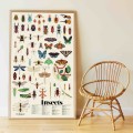 poppik insects owen davey sticker poster wall decor 2 - copie.jpg