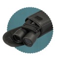 SP008_zoom2.jpg