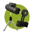 SP009_zoom2.jpg