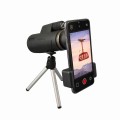 SP009_zoomPHONE.jpg