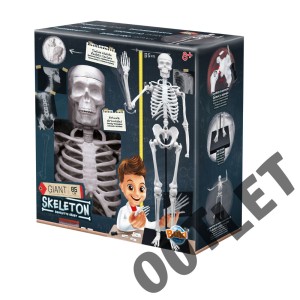 OUTLET Szkielet człowieka - 85 cm 2181