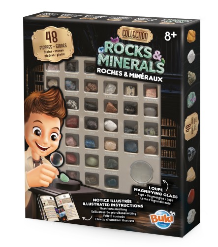 2441_BOX (1).jpg